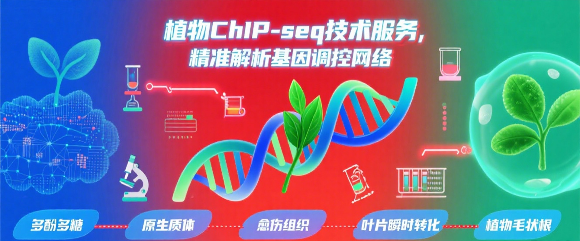 第2张