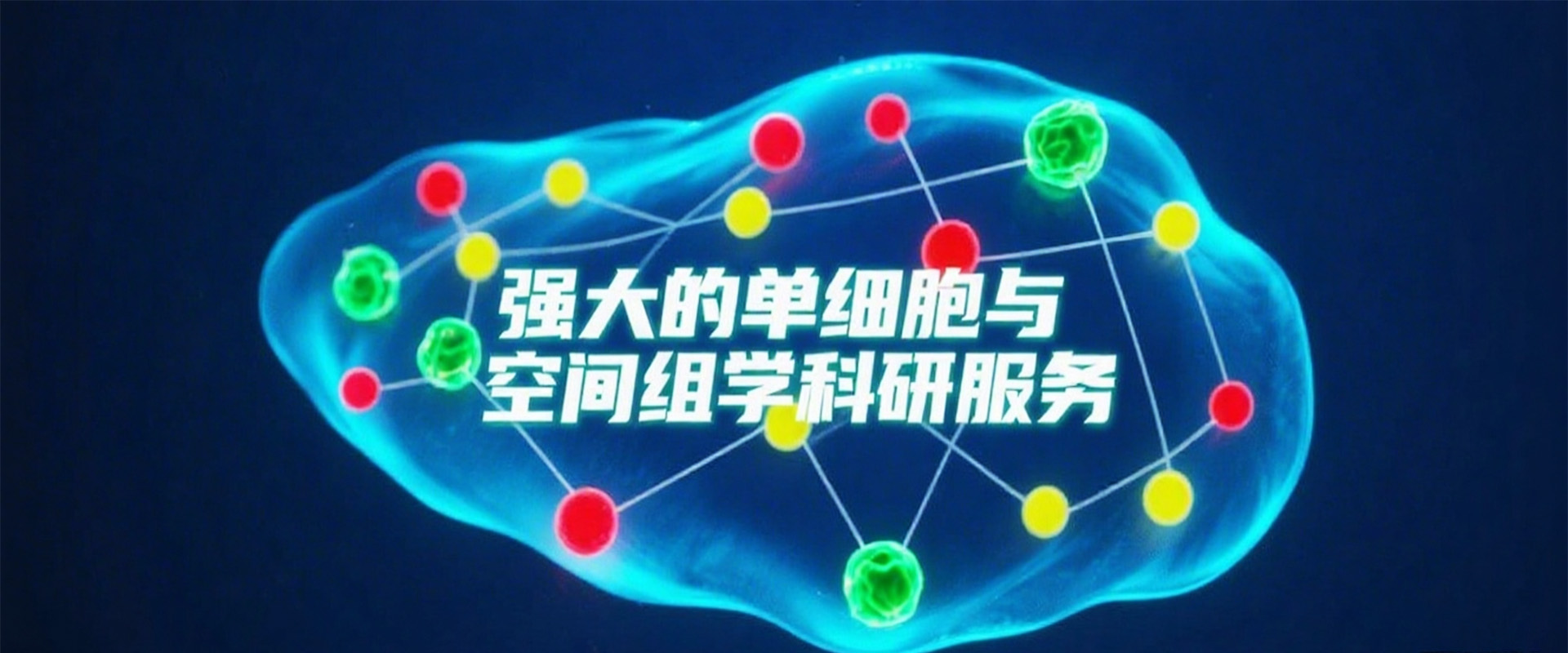 第3张