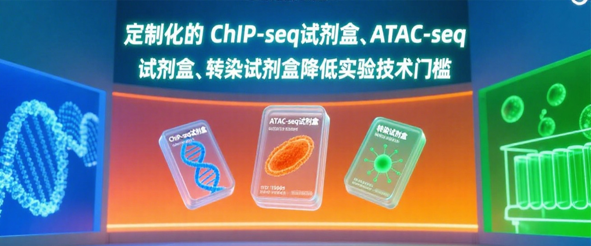 第4张